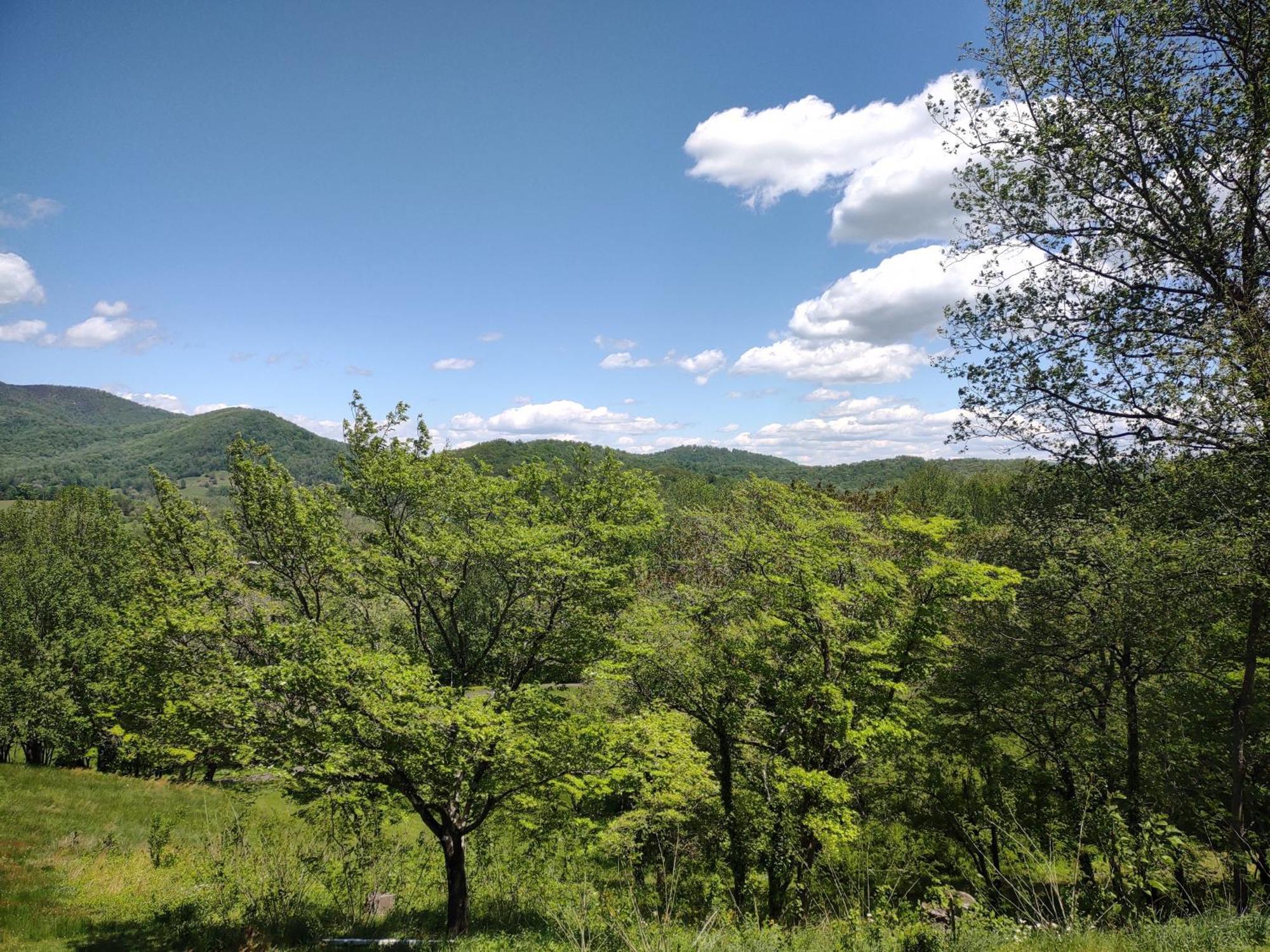 Graves Mountain Farm & Lodges Syria Екстер'єр фото